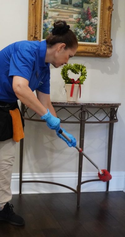 Professional Cleaning Services for Big Houses and Companies